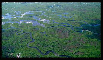 Everglades: Credit Naples News