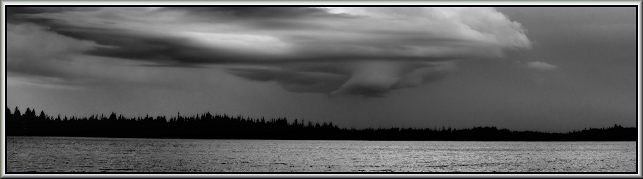 Microplastics pollute Earth, sky. and water